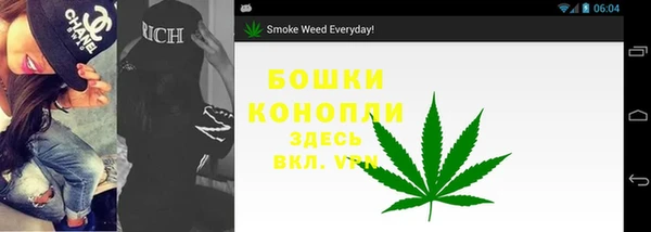 apvp Белокуриха