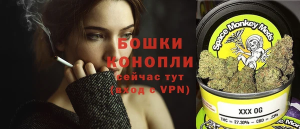 apvp Белокуриха